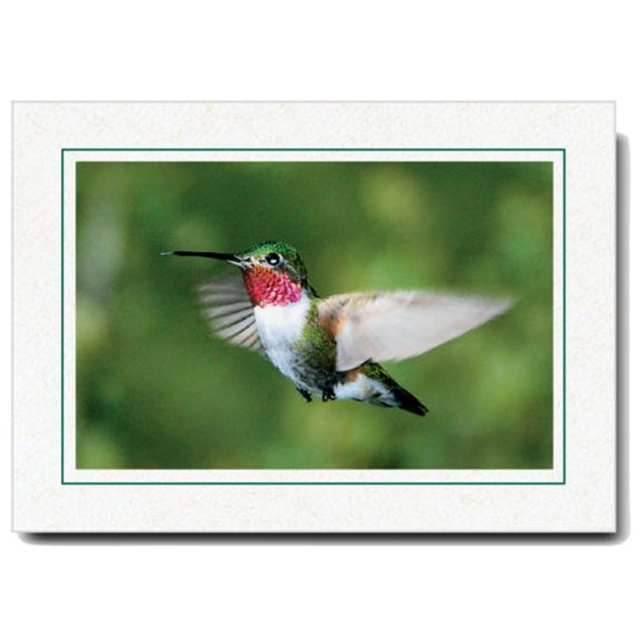 Photo Insert Card, Cardstock with Single Border, Set of 10 for 4x6 Photos