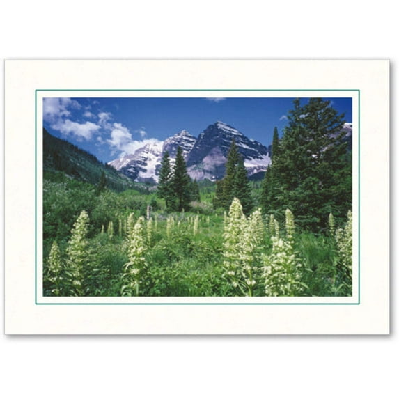 Photo Insert Card, Cardstock with Single Border, Set of 10 for 4x6 Photos