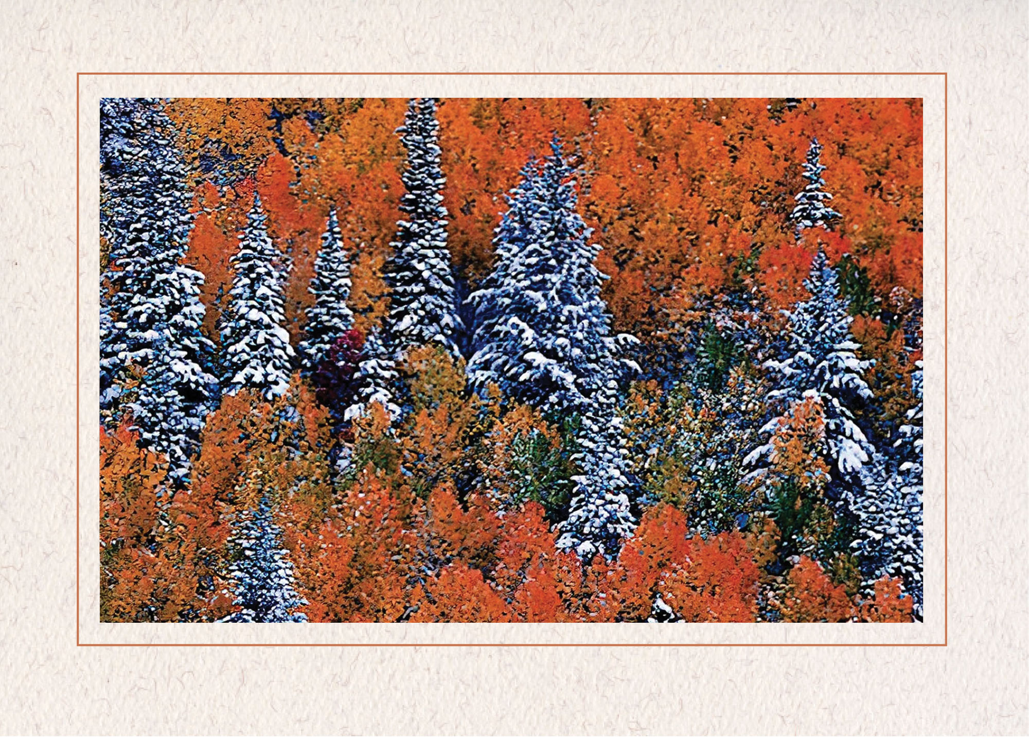 Forbes Photo Insert Photo Insert Card, Cardstock with Single Border, Set of 10 for 4x6 ...