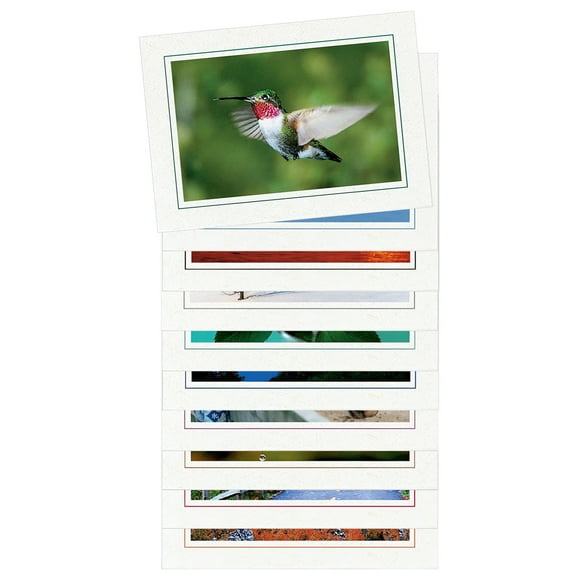 Photo Insert Card Sample Pack, 10 5x7 Natural Cardstock w/Single Border Cards, for 4x6 Photos