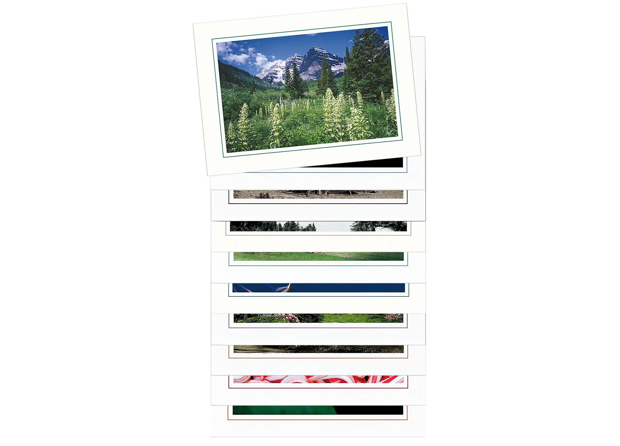 Photo Insert Card Sample Pack, 10 Bright White w/Single Border Cards for 4x6 Photo