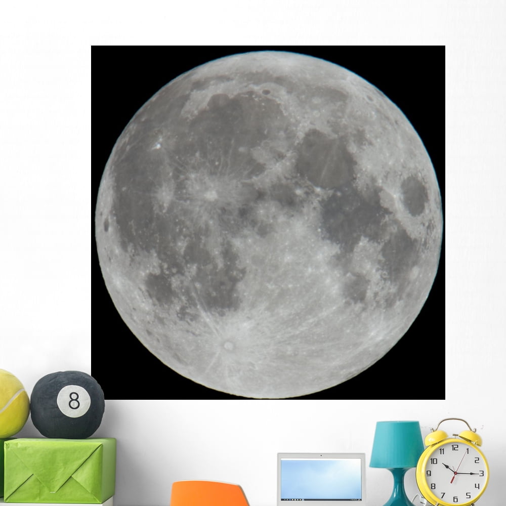 Photo Moon Lunar Surface Wall Mural by Wallmonkeys Peel and Stick ...