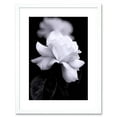 thumbnail image 1 of Photo Nature Black White Rose Petal Flower Artwork Framed Wall Art Print 9X7 Inch, 1 of 5