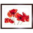 thumbnail image 1 of Photo Nature Flower Poppy Heads Red Petals Artwork Framed Wall Art Print 9X7 Inch, 1 of 5