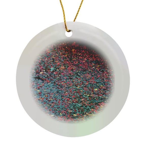 3drose, Photo of a Cranberry Bog at Double Trouble State Park in New Jersey., Circle Porcelain Ornament
