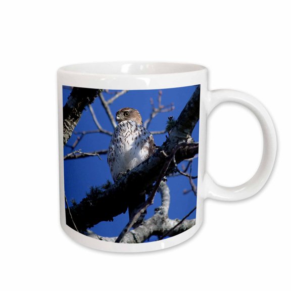 3drose, Photo of a Red-tailed Hawk Hiding in a Tree Waiting for Its Next Meal., 15oz Mug