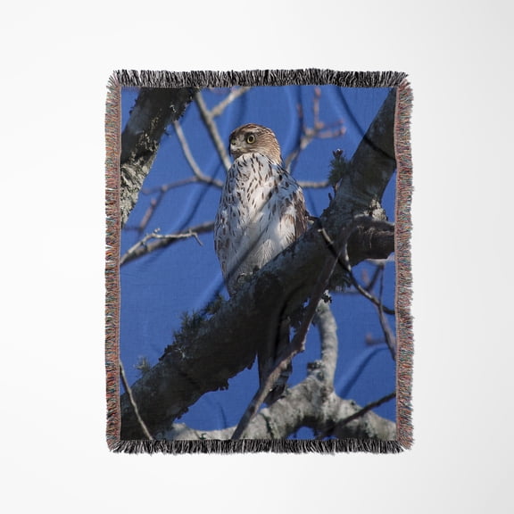 Photo Of A Red-Tailed Hawk Hiding In A Tree Waiting For Its Next Meal., Woven Blanket