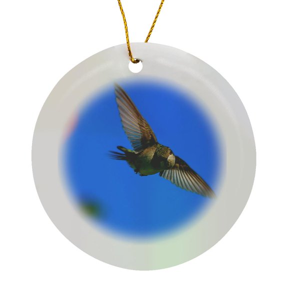 3drose, Photo of a Ruby-throated Hummingbird Looking Straight at the Camera., Circle Porcelain Ornament