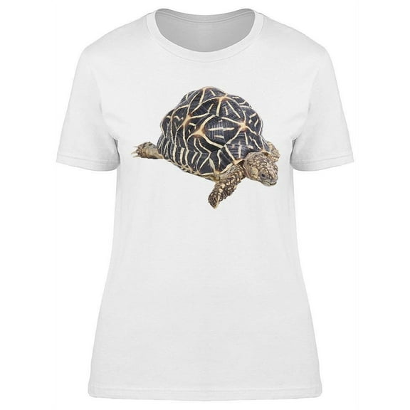 Photo Of A Tortoise T-Shirt Women -Image by Shutterstock, Female Small