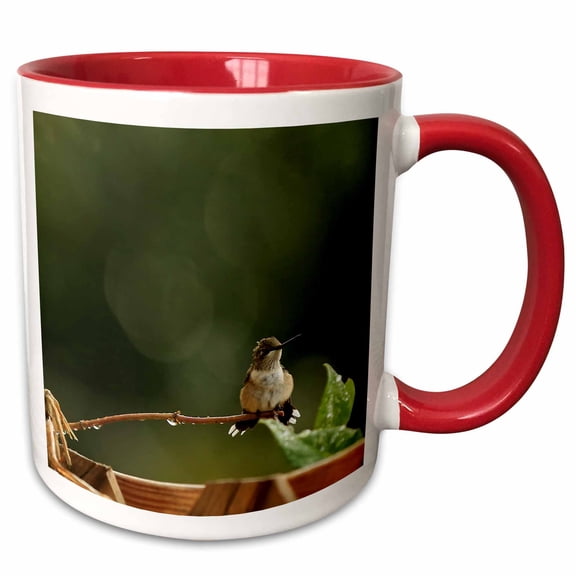 3drose, Photo of an Adorabe Female Ruby Throated Hummingbird with a Mohawk., 11oz Two-tone Red Mug