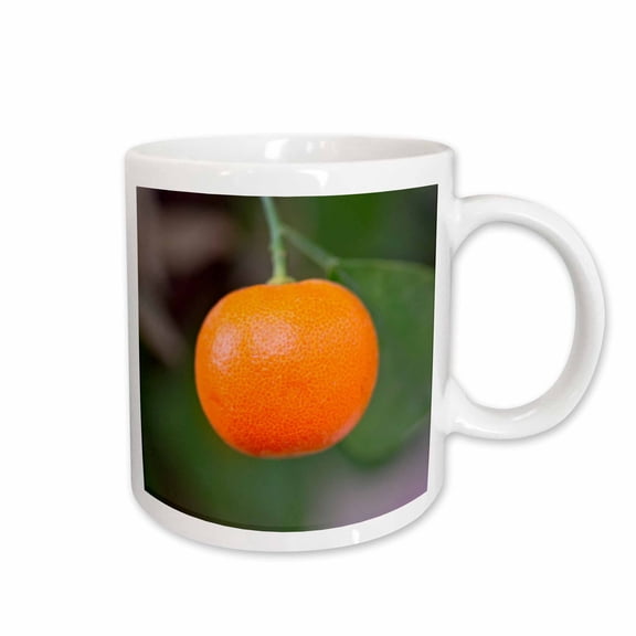 3drose, Photo of an Orange Tangerine or Mandarin Fruit on a Tree, 11oz Mug