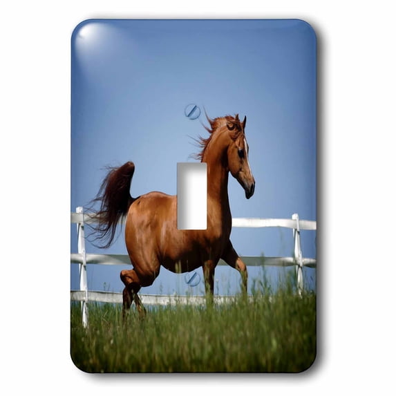 3dRose, Photo Of Beautiful Trotting Horse.jpg, single toggle switch