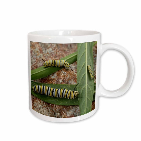 3drose, Photo of Different Stages of Monarch Caterpillars on Milkweed Leaves., 15oz Mug