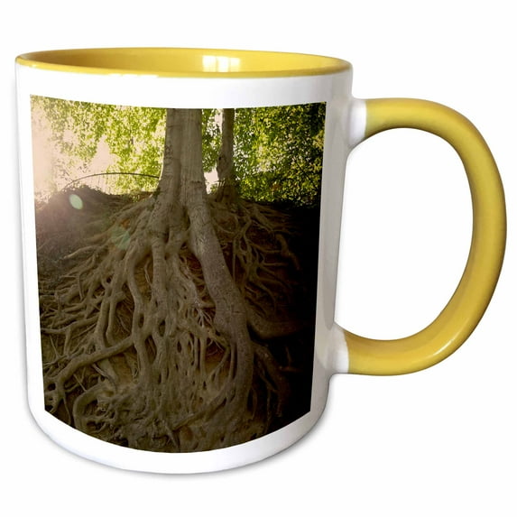 3drose, Photo of Exposed Roots of a Majestic 70 Year Old American Beech Tree., 15oz Two-tone Yellow Mug