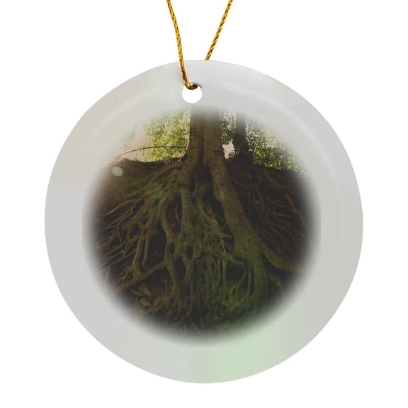 3drose, Photo of Exposed Roots of a Majestic 70 Year Old American Beech Tree., Circle Porcelain Ornament