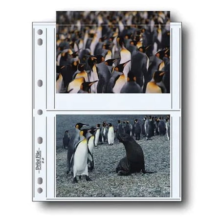 Print File Photo Pages Holds Four 5x7" Prints, Pack of 25