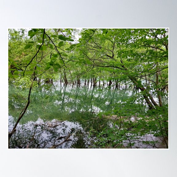 Photo Poster Wall Art, Modern Wall Decor, 16x24 UNFRAMED