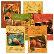 Current Photo Thanksgiving Greeting Cards, Set of 12 Large 5 x 7-Inch Cards