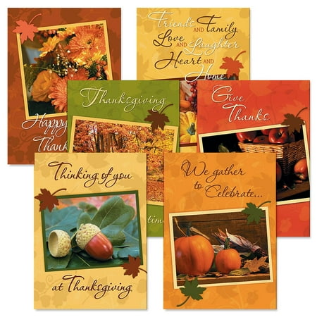 Current Photo Thanksgiving Greeting Cards, Set of 12 Large 5 x 7-Inch Cards