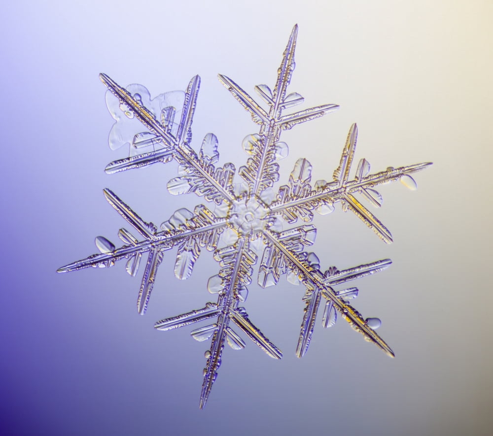 Photo-microscope view of a real snowflake showing the classic 6-sided star shape Canvas Art - Marion Owen Design Pics (16 x 14)