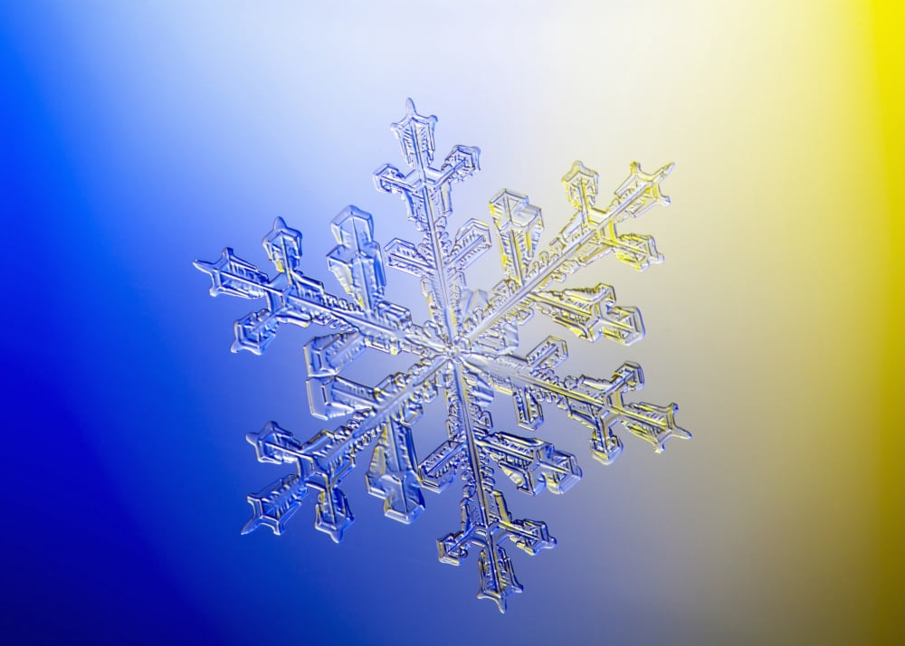 Photo-microscope view of a real snowflake showing the classic 6-sided star shape Canvas Art - Marion Owen Design Pics (18 x 13)
