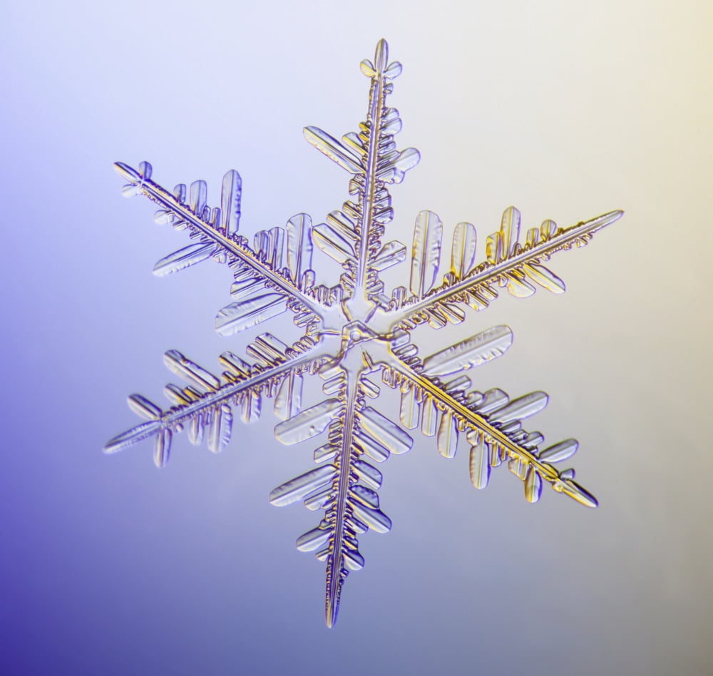 Photo-microscope view of a real snowflake showing the classic 6-sided star shape Canvas Art - Marion Owen Design Pics (24 x 24)