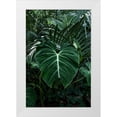 thumbnail image 1 of PhotoINC Studio 11x14 White Modern Wood Framed Museum Art Print Titled - Tropical 3, 1 of 4