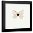 thumbnail image 1 of PhotoINC Studio 12x12 Black Modern Framed Museum Art Print Titled - White Butterfly, 1 of 5