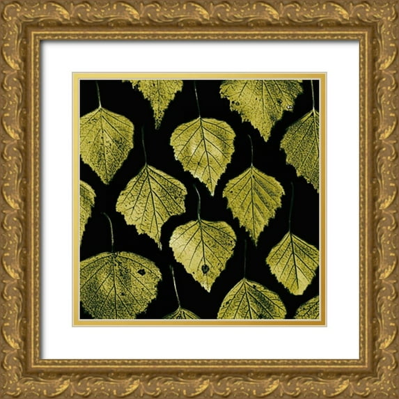 PhotoINC Studio 12x12 Gold Ornate Wood Framed with Double Matting Museum Art Print Titled - Green Leaves