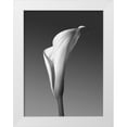 thumbnail image 1 of PhotoINC Studio 12x14 White Modern Wood Framed Museum Art Print Titled - Calla No. 4, 1 of 4