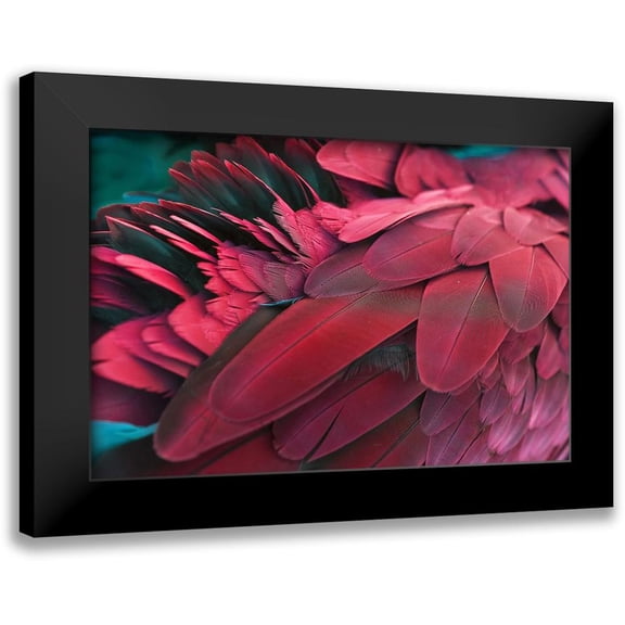 PhotoINC Studio 14x11 Black Modern Framed Museum Art Print Titled - Feather