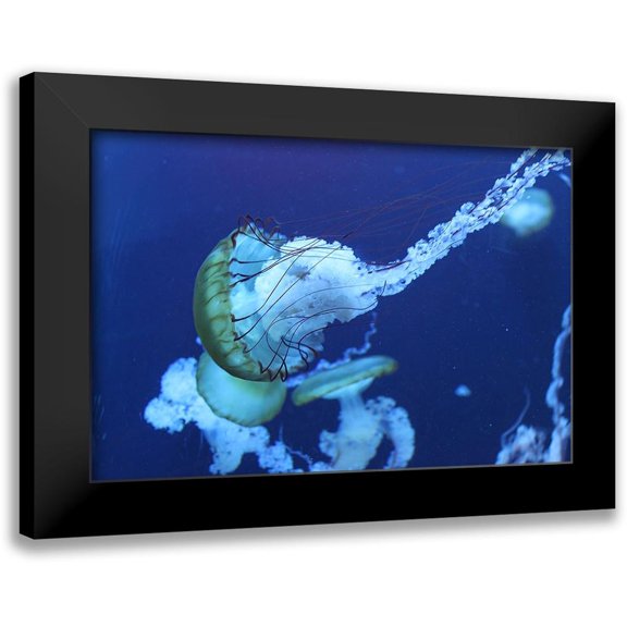 PhotoINC Studio 14x11 Black Modern Framed Museum Art Print Titled - Jelly