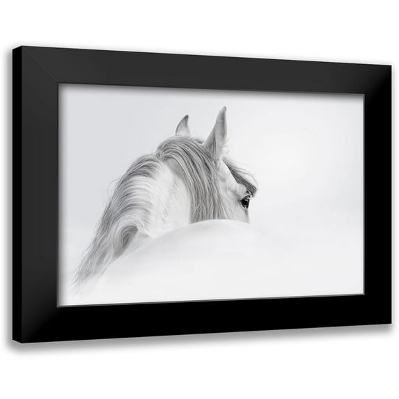 PhotoINC Studio 14x11 Black Modern Framed Museum Art Print Titled - White Horse