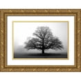 thumbnail image 1 of PhotoINC Studio 14x11 Gold Ornate Wood Framed with Double Matting Museum Art Print Titled - Tree in Mist 2, 1 of 4