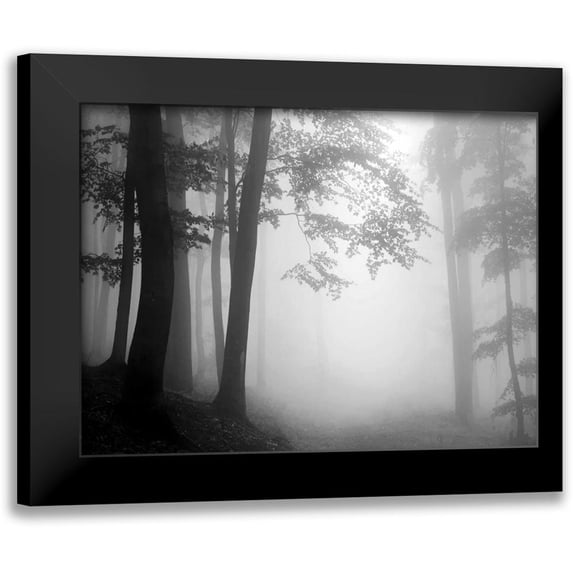 PhotoINC Studio 14x12 Black Modern Framed Museum Art Print Titled - Woods