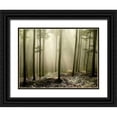 thumbnail image 1 of PhotoINC Studio 14x12 Black Ornate Wood Framed with Double Matting Museum Art Print Titled - Green Works, 1 of 4