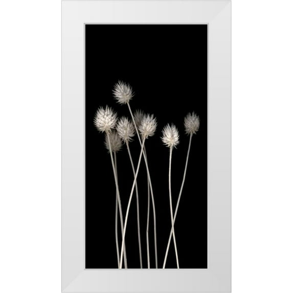 PhotoINC Studio 14x24 White Modern Wood Framed Museum Art Print Titled - Dried Up
