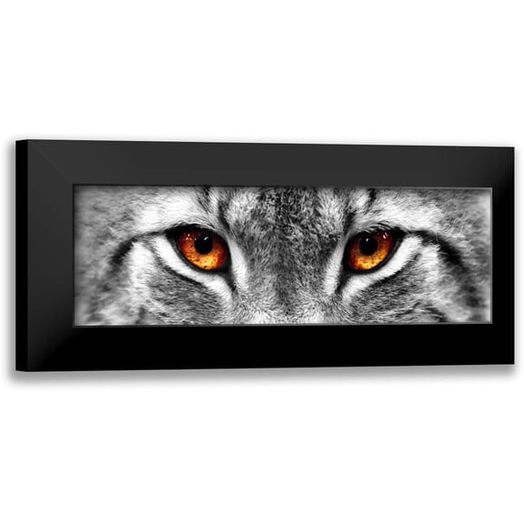 PhotoINC Studio 14x7 Black Modern Framed Museum Art Print Titled - Lynx