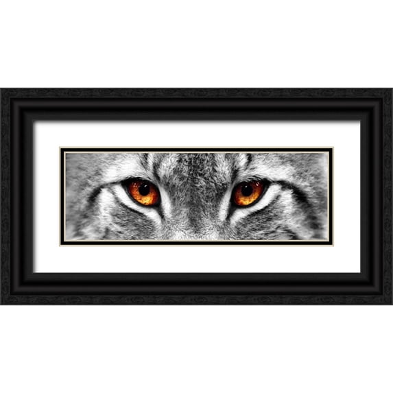 PhotoINC Studio 14x7 Black Ornate Wood Framed with Double Matting Museum Art Print Titled - Lynx