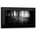 thumbnail image 1 of PhotoINC Studio 14x9 Black Modern Framed Museum Art Print Titled - Woods, 1 of 5