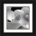 thumbnail image 1 of PhotoINC Studio 15x15 Black Ornate Wood Framed with Double Matting Museum Art Print Titled - Fibonacci 1, 1 of 4