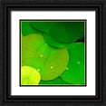 thumbnail image 1 of PhotoINC Studio 15x15 Black Ornate Wood Framed with Double Matting Museum Art Print Titled - Water Lily, 1 of 4
