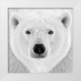 thumbnail image 1 of PhotoINC Studio 15x15 White Modern Wood Framed Museum Art Print Titled - Polar Bear, 1 of 4