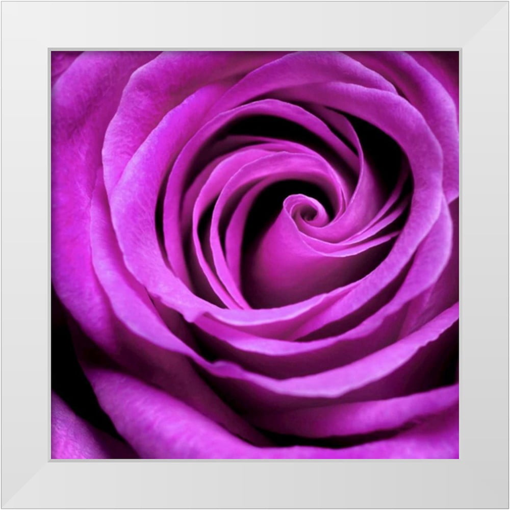 PhotoINC Studio 15x15 White Modern Wood Framed Museum Art Print Titled ...