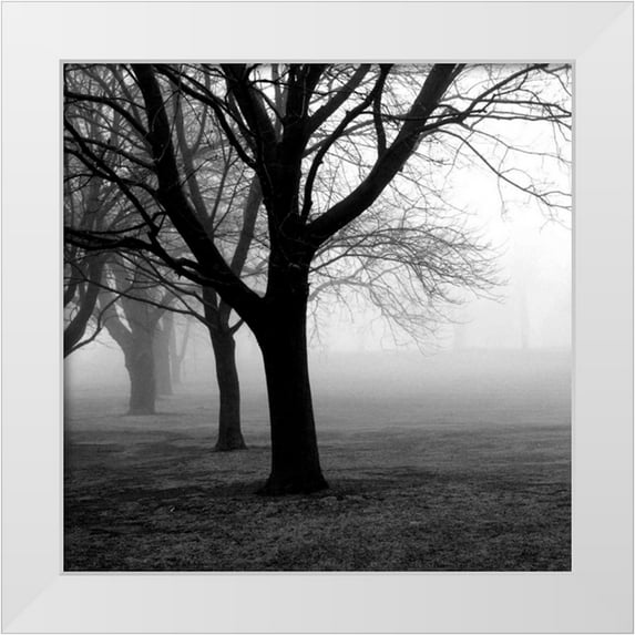 PhotoINC Studio 15x15 White Modern Wood Framed Museum Art Print Titled - Trees