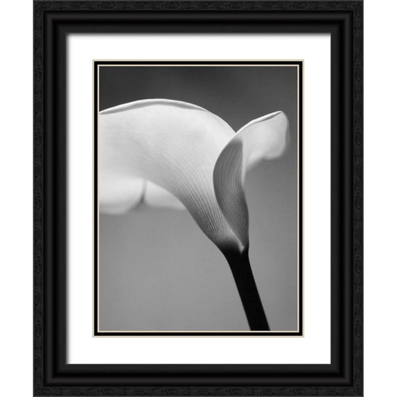 PhotoINC Studio 15x18 Black Ornate Wood Framed with Double Matting Museum Art Print Titled - Calla No. 6