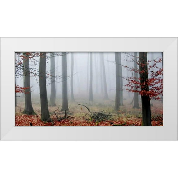 PhotoINC Studio 18x11 White Modern Wood Framed Museum Art Print Titled - Misty Woods