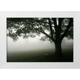 thumbnail image 1 of PhotoINC Studio 18x13 White Modern Wood Framed Museum Art Print Titled - Misty Bench, 1 of 4