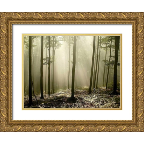 PhotoINC Studio 18x15 Gold Ornate Wood Framed with Double Matting Museum Art Print Titled - Green Works