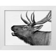 thumbnail image 1 of PhotoINC Studio 18x15 White Modern Wood Framed Museum Art Print Titled - Deer, 1 of 4